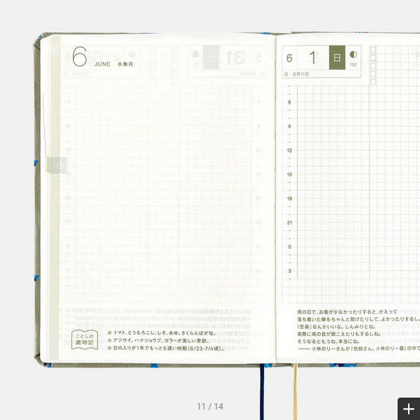 Hobonichi Techo 2025 Bow & Tie: Snake Toy HON / A6 Size / Daily / Jan start / Mon start - English Edition