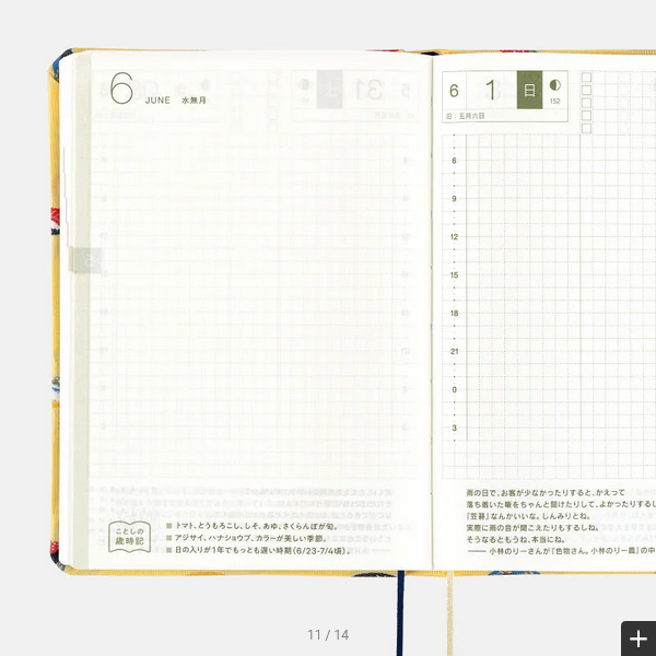 Sale! Hobonichi Techo 2025 Bow & Tie: Sushi HON / A6 Size / Daily / Jan start / Mon start - English Edition