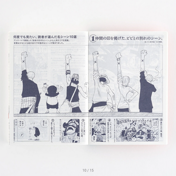 Sale! Hobonichi Techo 2025 Japanese Original Book - One Piece Edition (January Start) A6 Size / Daily / Jan start / Mon start