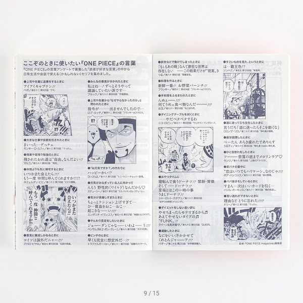Sale! Hobonichi Techo 2025 Japanese Original Book - One Piece Edition (January Start) A6 Size / Daily / Jan start / Mon start