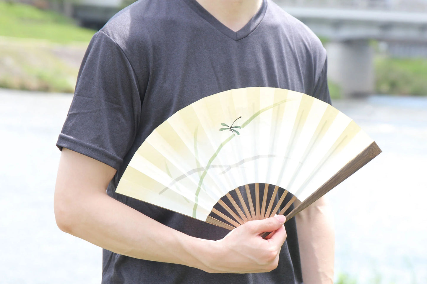 Reversible Kyo-sensu (Japanese folding fan) for Men - Dragonfly and Mt.Fuji - , Made in Kyoto, Japan , Kyoto sensu