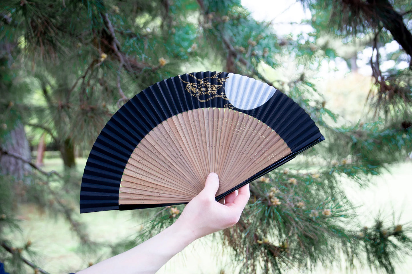Kyo-sensu (Japanese folding fan) for Men - Dragon -, Made in Kyoto, Japan, Kyoto sensu