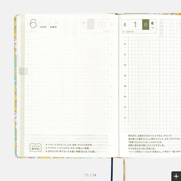 Sale! Hobonichi Techo 2025 Liberty Fabrics: Paysanne Blossom HON / A6 Size / Daily / Jan start / Mon start - English Edition