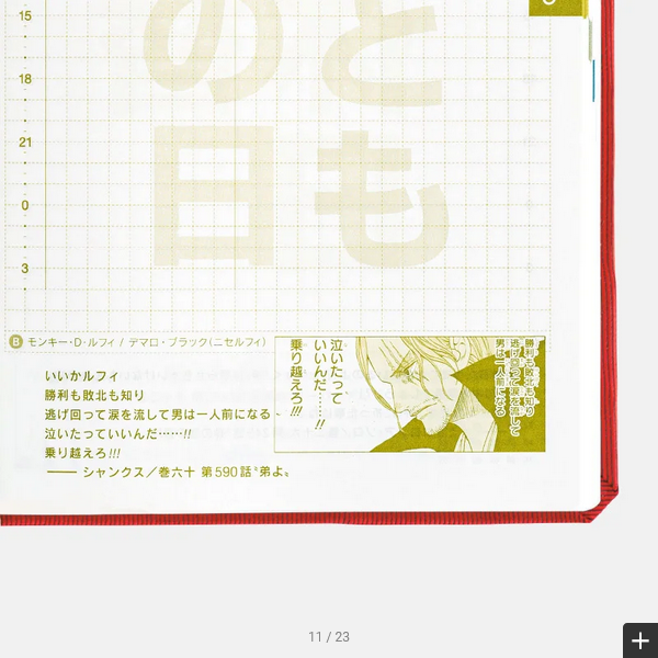 Hobonichi Techo 2025 ONE PIECE magazine: DON! HON / A6 Size / Daily / Jan start / Mon start - Japanese Edition