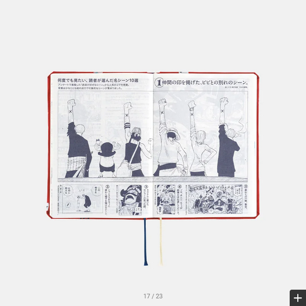 Hobonichi Techo 2025 ONE PIECE magazine: DON! HON / A6 Size / Daily / Jan start / Mon start - Japanese Edition