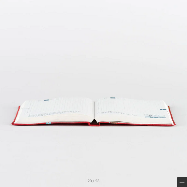 Hobonichi Techo 2025 ONE PIECE magazine: DON! HON / A6 Size / Daily / Jan start / Mon start - Japanese Edition