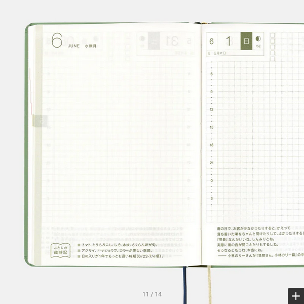 Hobonichi Techo 2025 SPY x FAMILY: Forger Family HON / A6 Size / Daily / Jan start / Mon start - English Edition