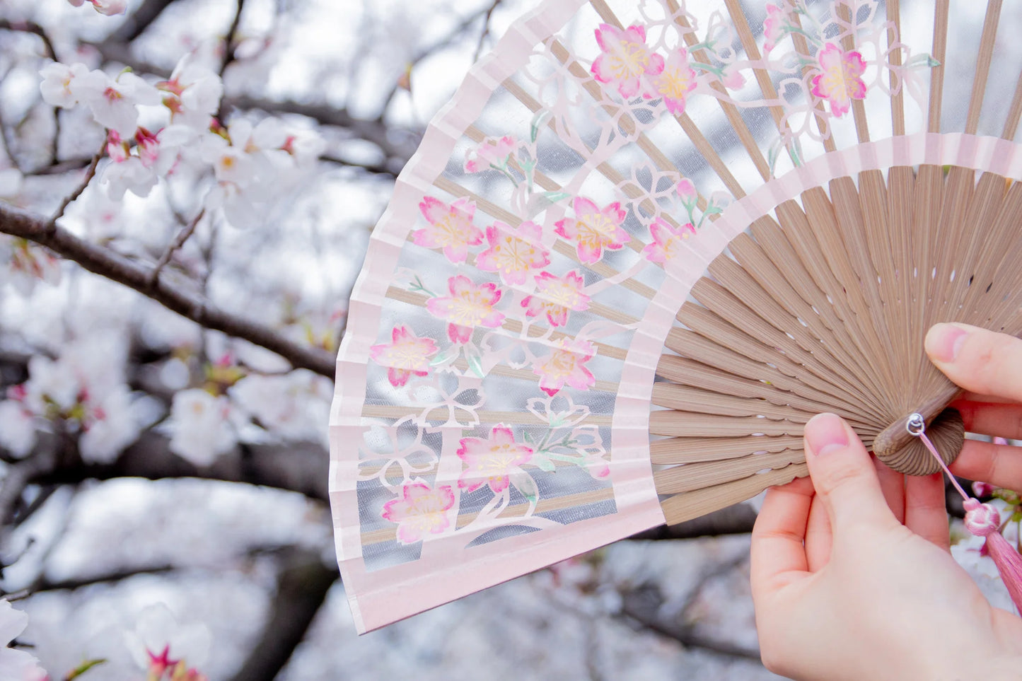 Kyo-sensu (Japanese folding fan) for Women - Kirie / Cherry Blossom - , Made in Kyoto, Japan, Kyoto sensu