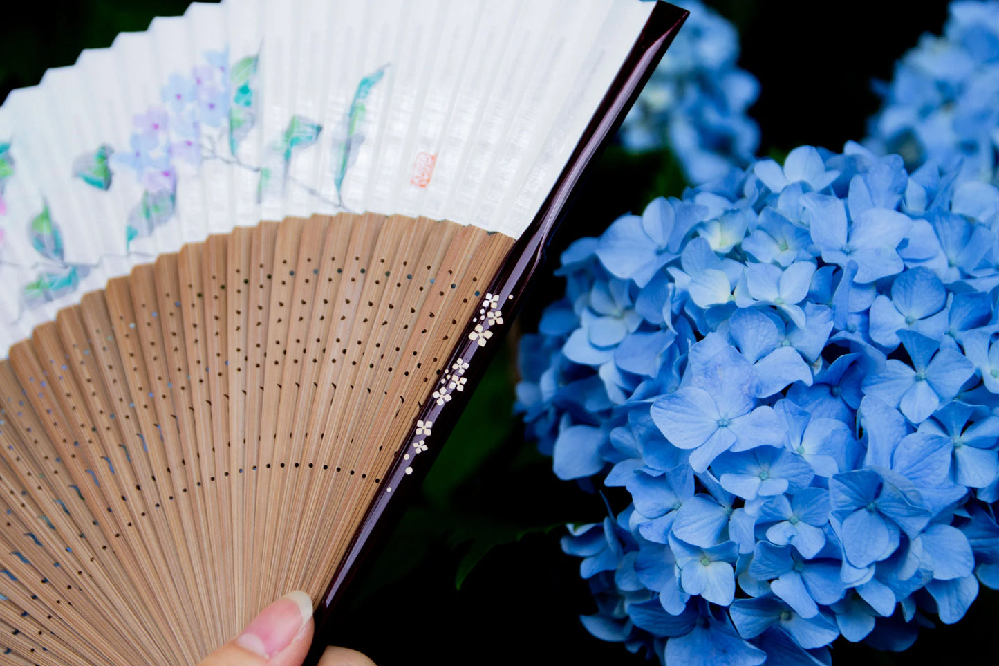 Kyo-sensu (Japanese folding fan) for Women - Hydrangea - , Made in Kyoto, Japan, Kyoto sensu
