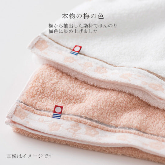 Imabari Towel Bliss Towel (Japanese Apricot) Gift Set(2 Bath Towels, 2 Face Towels)