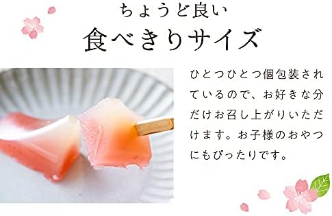 Mt. Fuji Shaped Small Yokan (Japanese traditional sweets) 6 pcs Set, Japanese Wagashi, Japanese Sweets Souvenir, Japanese Desserts