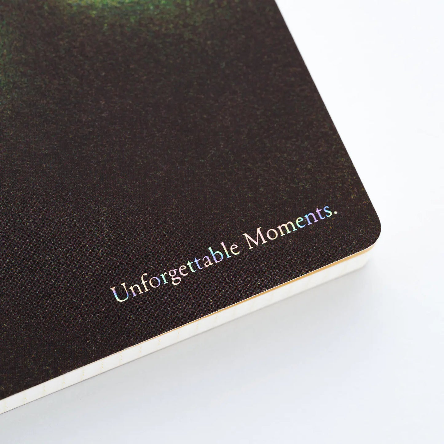 Akiko Miyakoshi: Hobonichi Landscape Notebook (I Dream of a Journey), 2027 Hobonichi Accessories