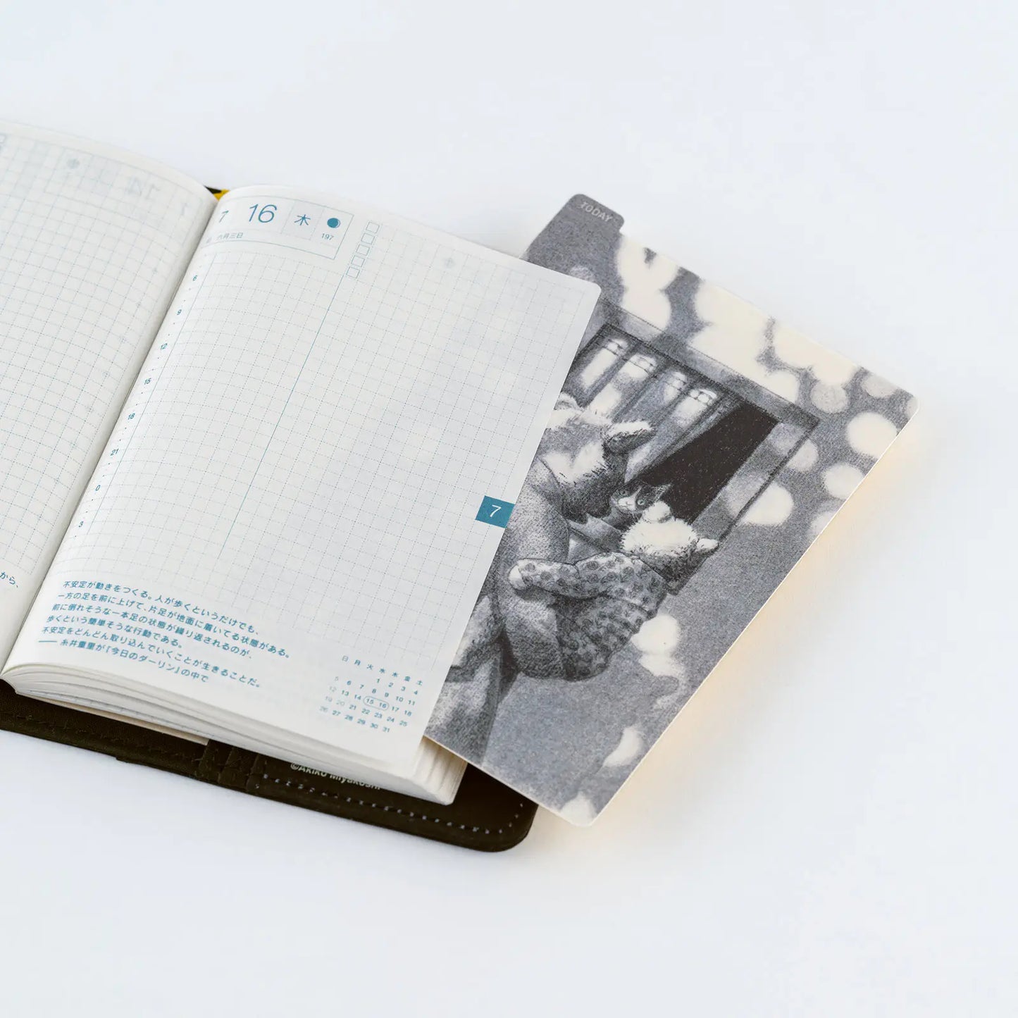 Akiko Miyakoshi: Hobonichi Pencil Board For A6 Size / A5 Size / Weeks, 2027 Hobonichi Accessories