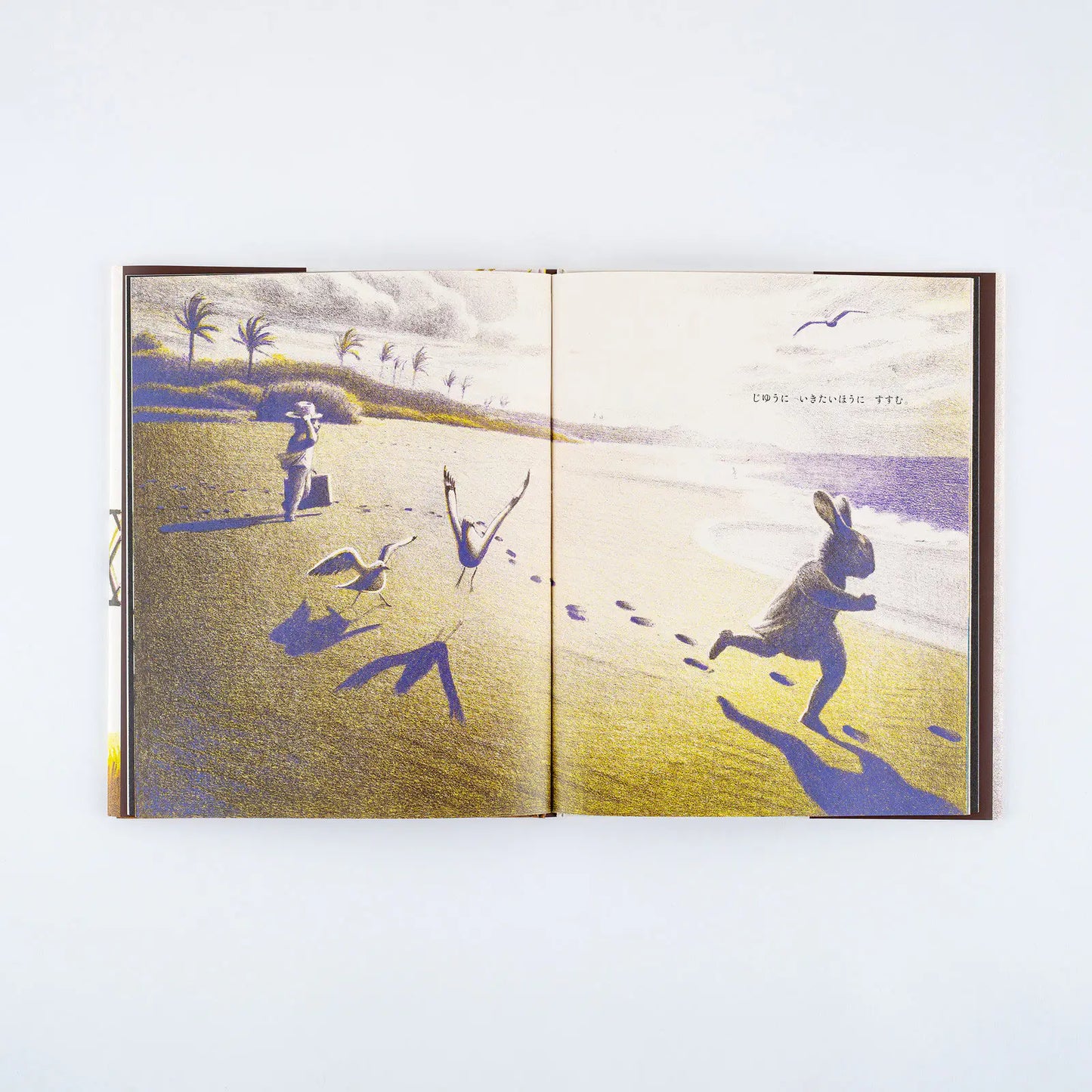 Akiko Miyakoshi: Japanese Picture Book - I Dream of a Journey, 2027 Hobonichi Accessories