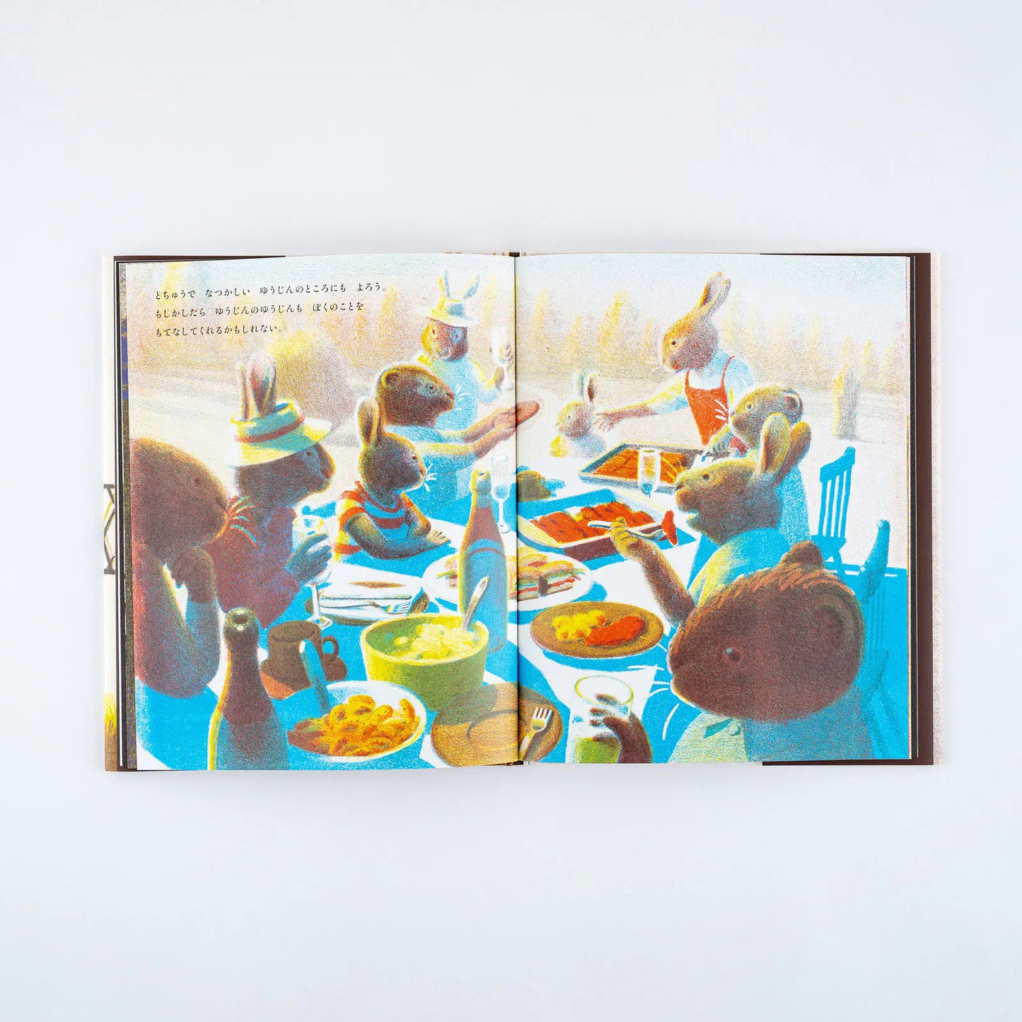 Akiko Miyakoshi: Japanese Picture Book - I Dream of a Journey, 2027 Hobonichi Accessories