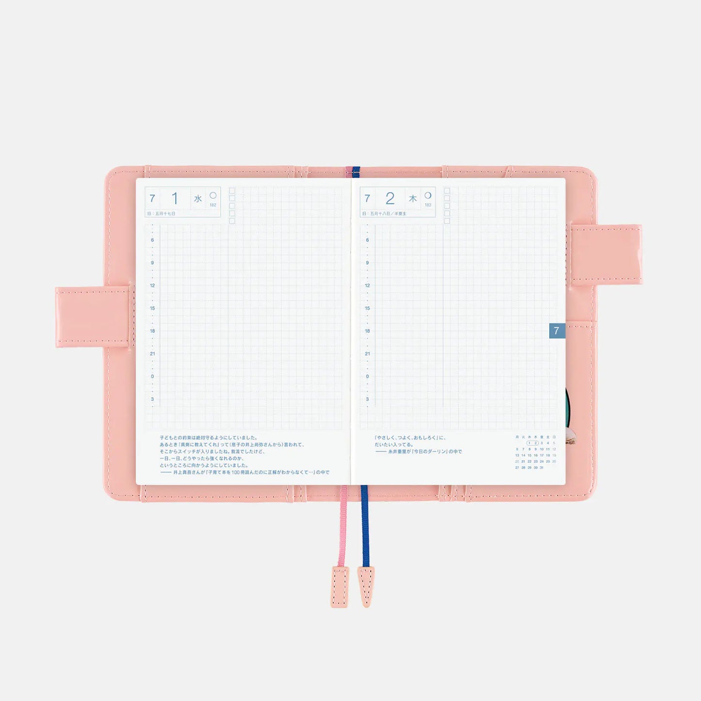 Candy Stripper: Random Dog & Cat (Pink) [Hobonichi Original (A6) Techo Cover] (Cover Only)