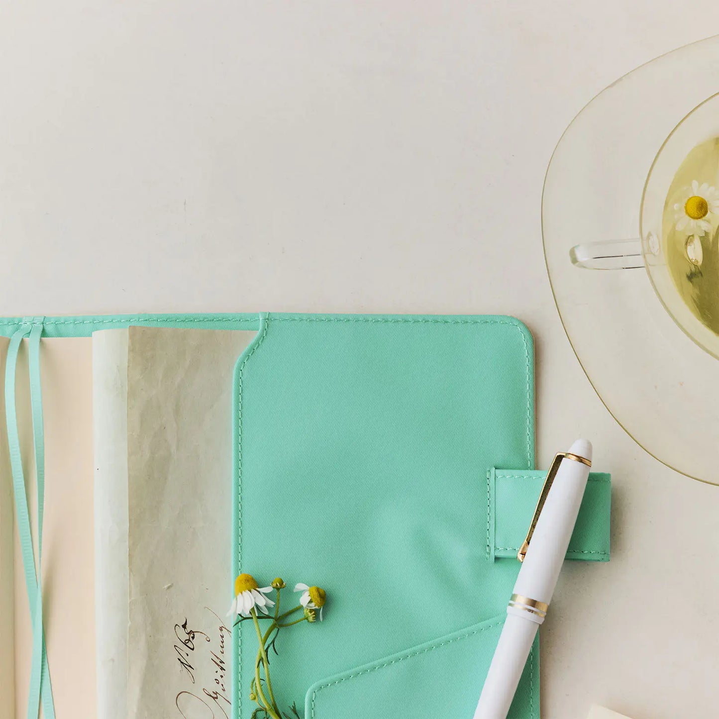 Colors: Chamomile Mint [Hobonichi Cousin (A5) Techo Cover] (Cover Only)
