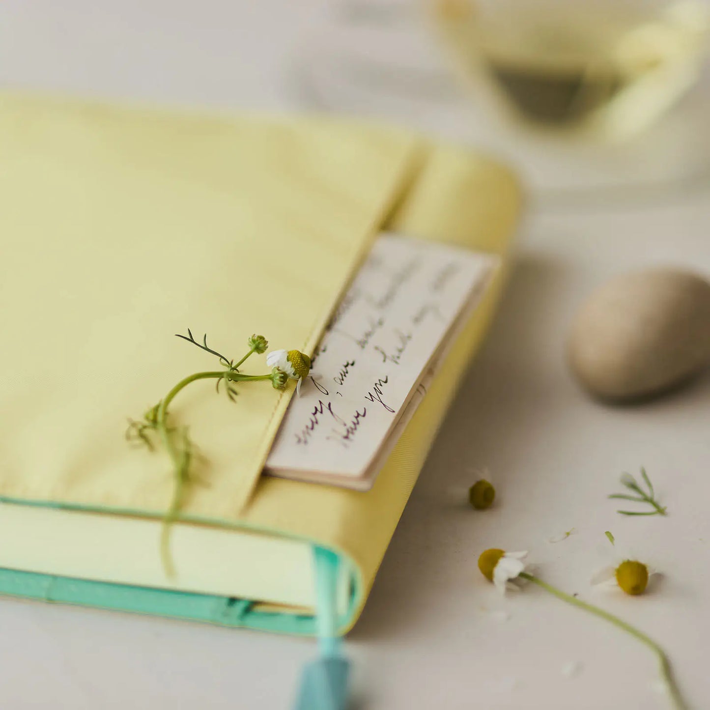 Colors: Chamomile Mint [Hobonichi Cousin (A5) Techo Cover] (Cover Only)