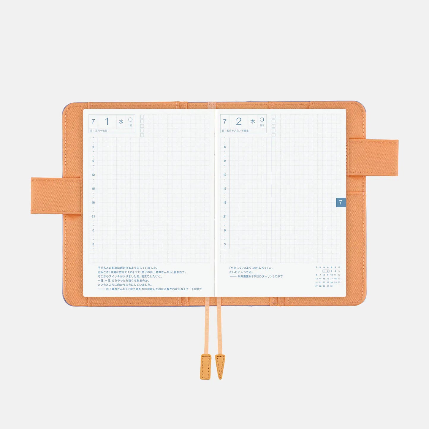 Colors: Powder Blue Shell [Hobonichi Original (A6) Techo Cover] (Cover Only)