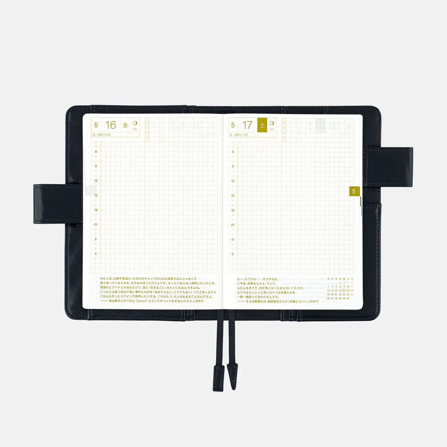 Gentle Stripe [Hobonichi Original (A6) Techo Cover] (Cover Only)