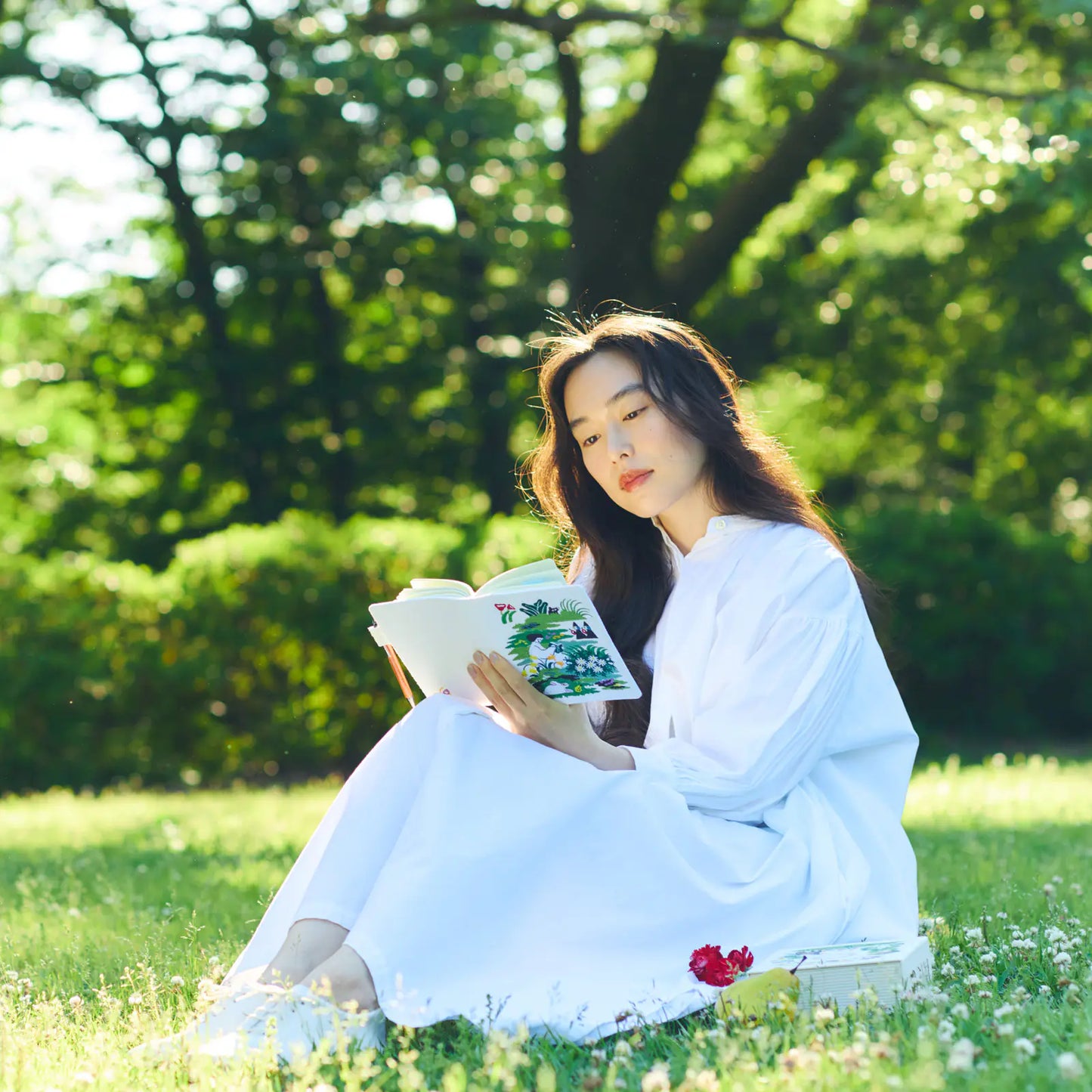 Hobonichi Techo 2026 iyo okumi: Hobonichi 5-Year Techo Gift Edition - haconiwa (2026-2030)