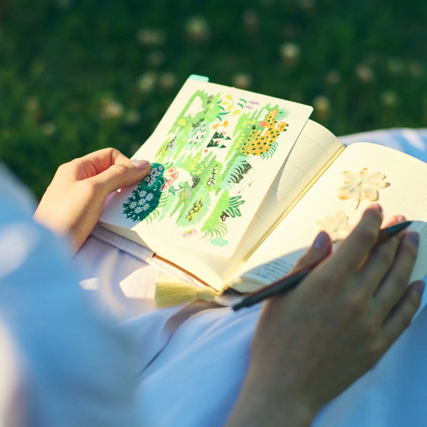 Hobonichi Techo 2026 iyo okumi: Hobonichi 5-Year Techo Gift Edition - haconiwa (2026-2030)