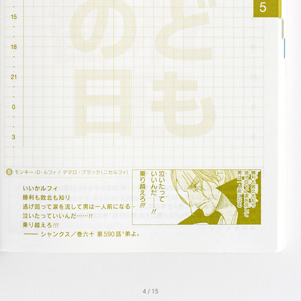 Sale! Hobonichi Techo 2025 Japanese Original Book - One Piece Edition (January Start) A6 Size / Daily / Jan start / Mon start