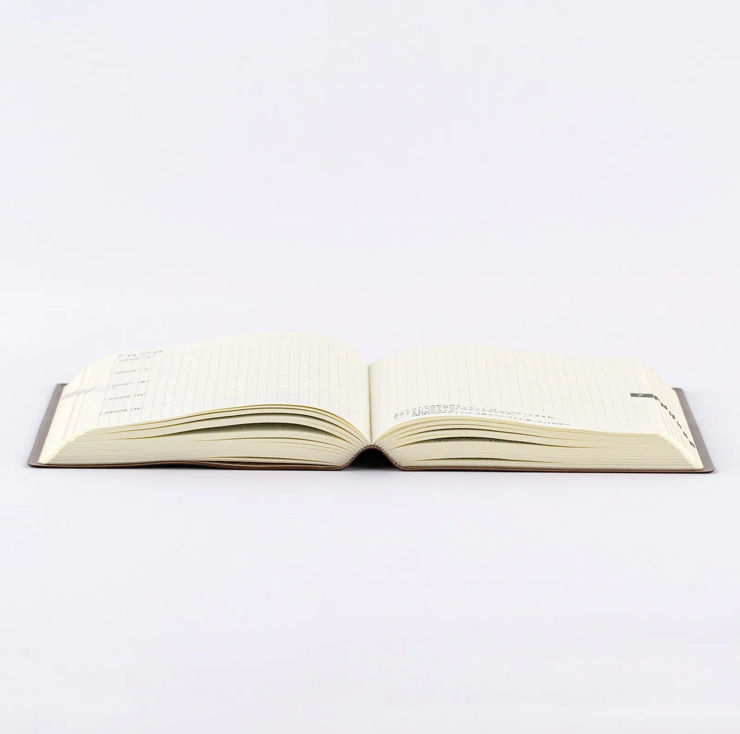 PRE-ORDER Hobonichi Techo 2026 Hobonichi 5-Year Techo Japanese Book (2026-2030) [A6 size] A6 Size / 2026-2030 / Five Years in One Book