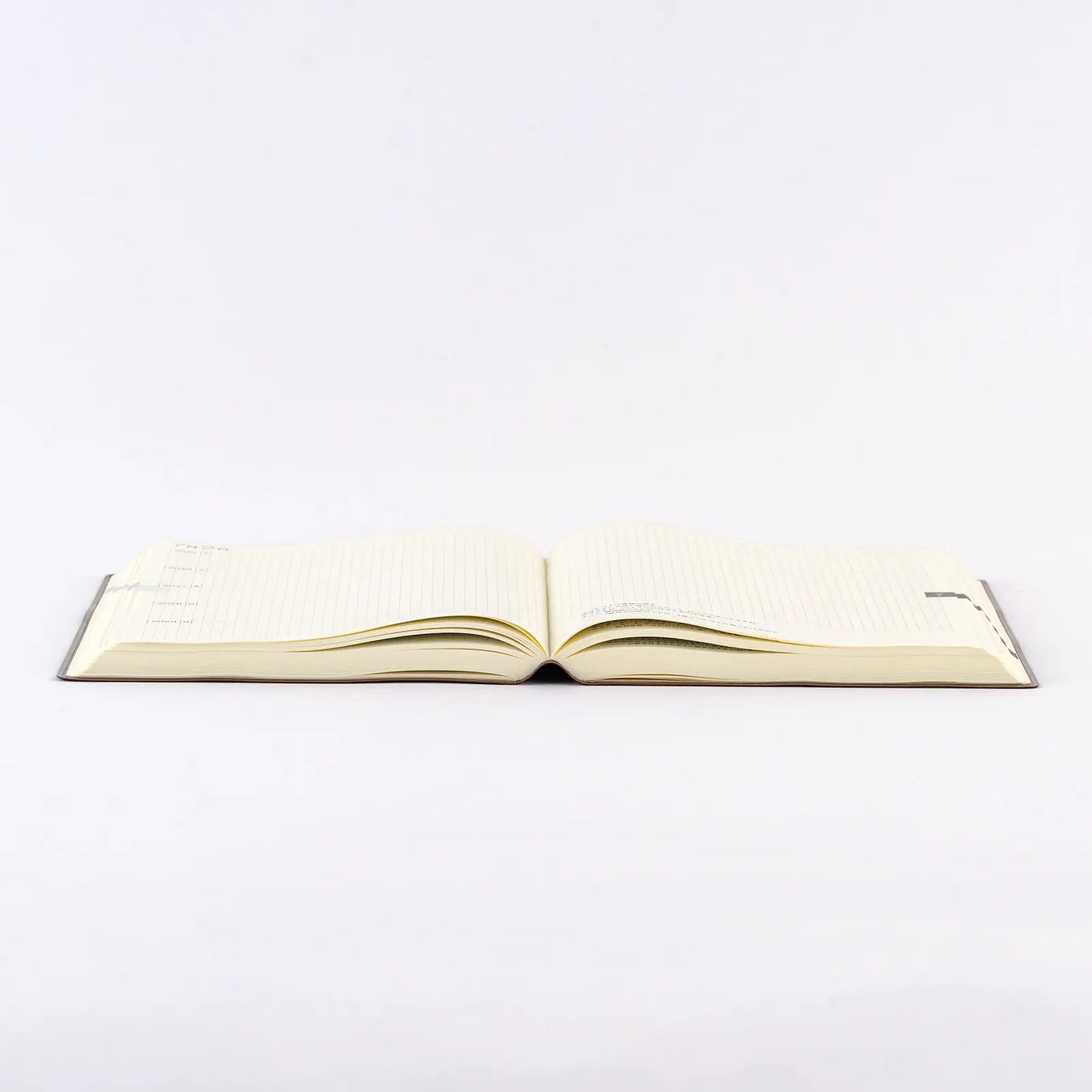 Hobonichi Techo 2026 Large Hobonichi 5-Year Techo Japanese Book (2026-2030) [A5 size] A5 Size / 2025-2029 / Five Years in One Book