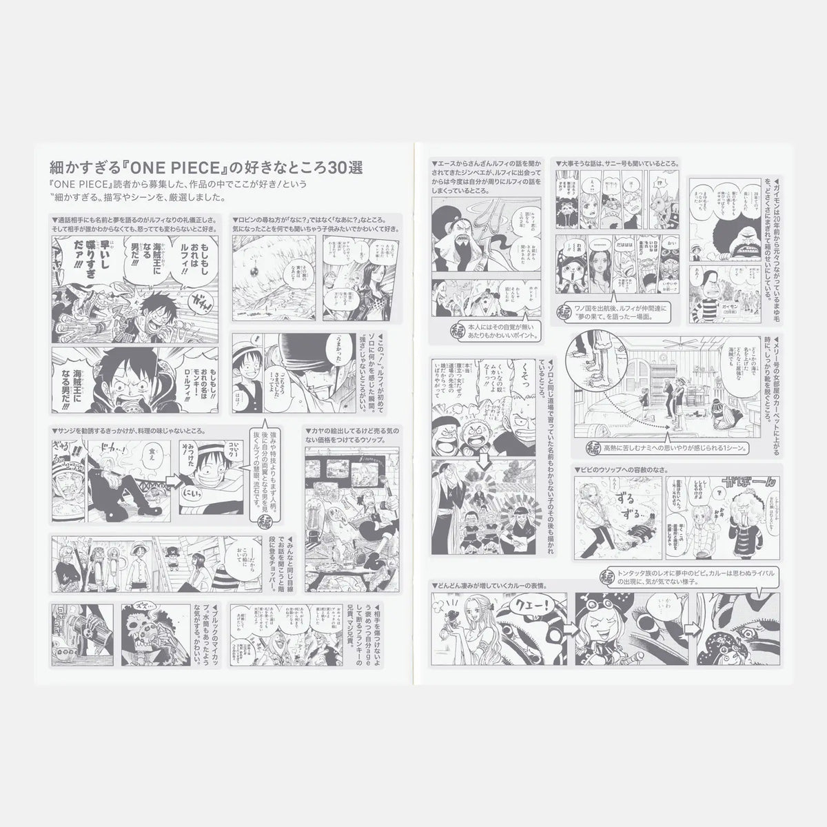 Hobonichi Techo 2027 ONE PIECE magazine: Hobonichi Techo 2027 Japanese Original Book - One Piece Edition A6 size / Daily / Jan start / Mon start - Japanese Edition