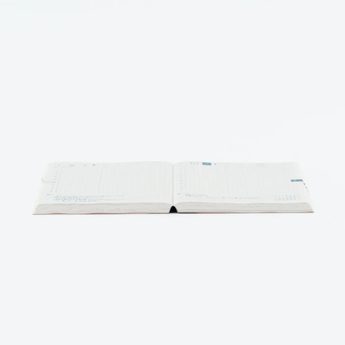 Hobonichi Techo 2027 ONE PIECE magazine: Hobonichi Techo 2027 Japanese Original Book - One Piece Edition A6 size / Daily / Jan start / Mon start - Japanese Edition