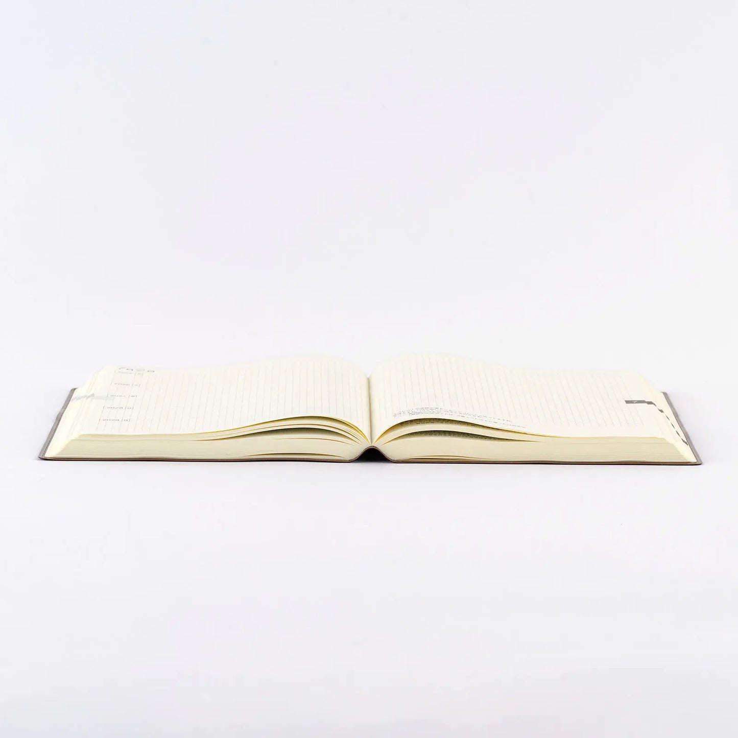 Hobonichi Techo 2027 Large Hobonichi 5-Year Techo Japanese Book (2027-2031) A5 Size / 2027-2031 / Five Years in One Book