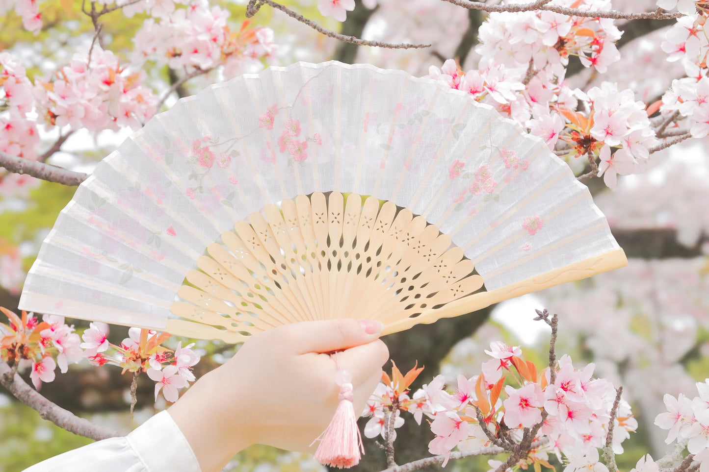 Kyo-sensu (Japanese folding fan) for Women - Cherry Blossom - , Made in Kyoto, Japan , Kyoto sensu