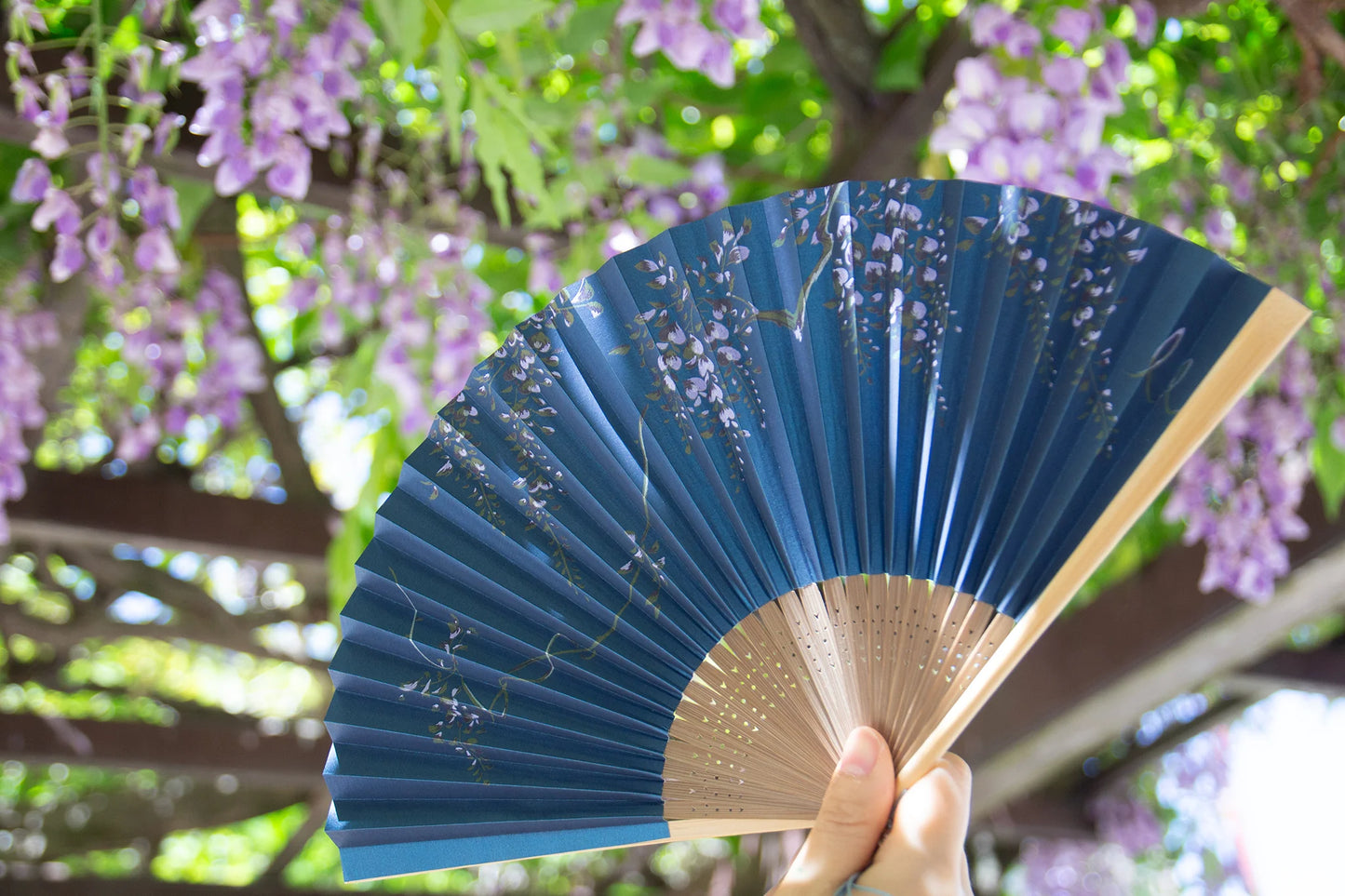 Kyo-sensu (Japanese folding fan) for Women - Cherry Blossom - , Made in Kyoto, Japan , Kyoto sensu