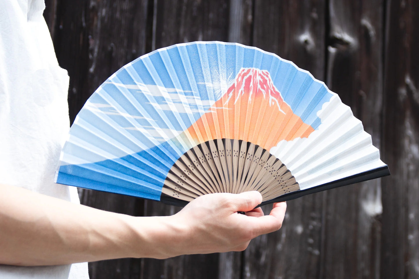 Kyo-sensu (Japanese folding fan) for Men - Kyo-Yuzen / Catfish - , Made in Kyoto, Japan , Kyoto sensu