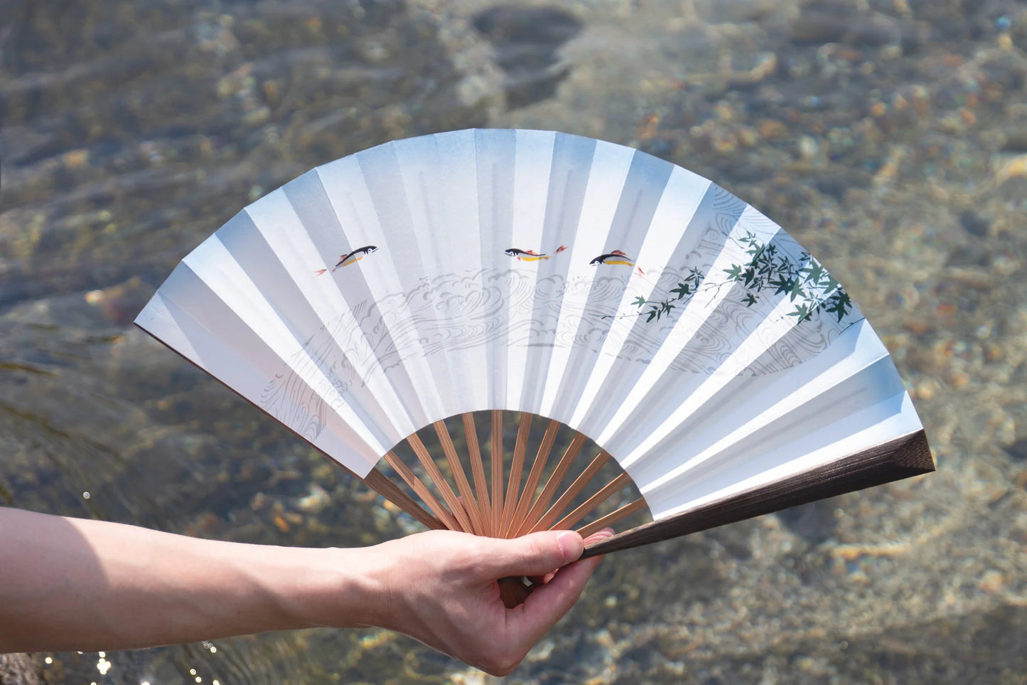 Reversible Kyo-sensu (Japanese folding fan) for Men - Dragonfly and Mt.Fuji - , Made in Kyoto, Japan , Kyoto sensu