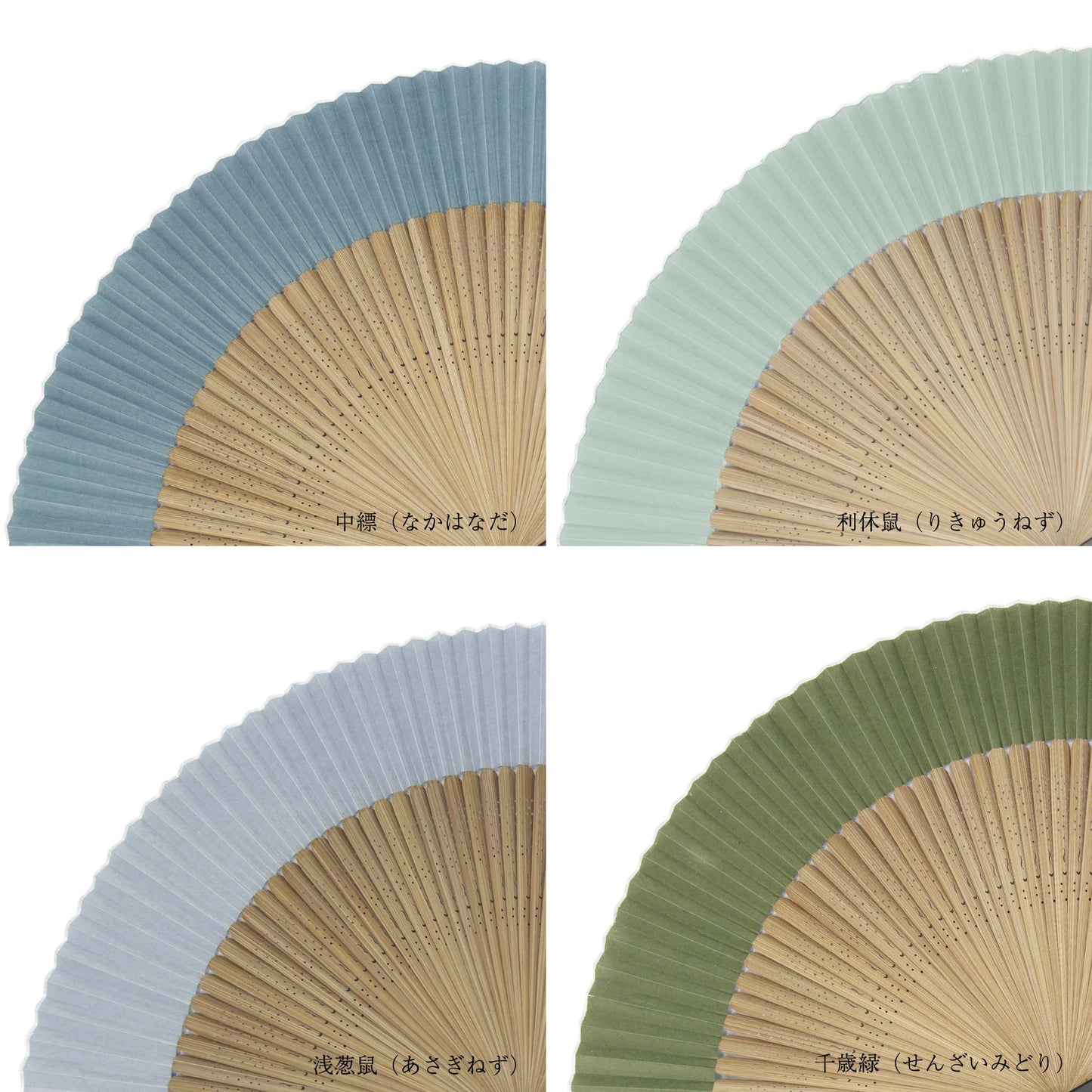 Kyo-sensu (Japanese folding fan) for Men - Traditional Japanese Color / Chitosemidori (Dark Green) -, Made in Kyoto, Japan, Kyoto sensu