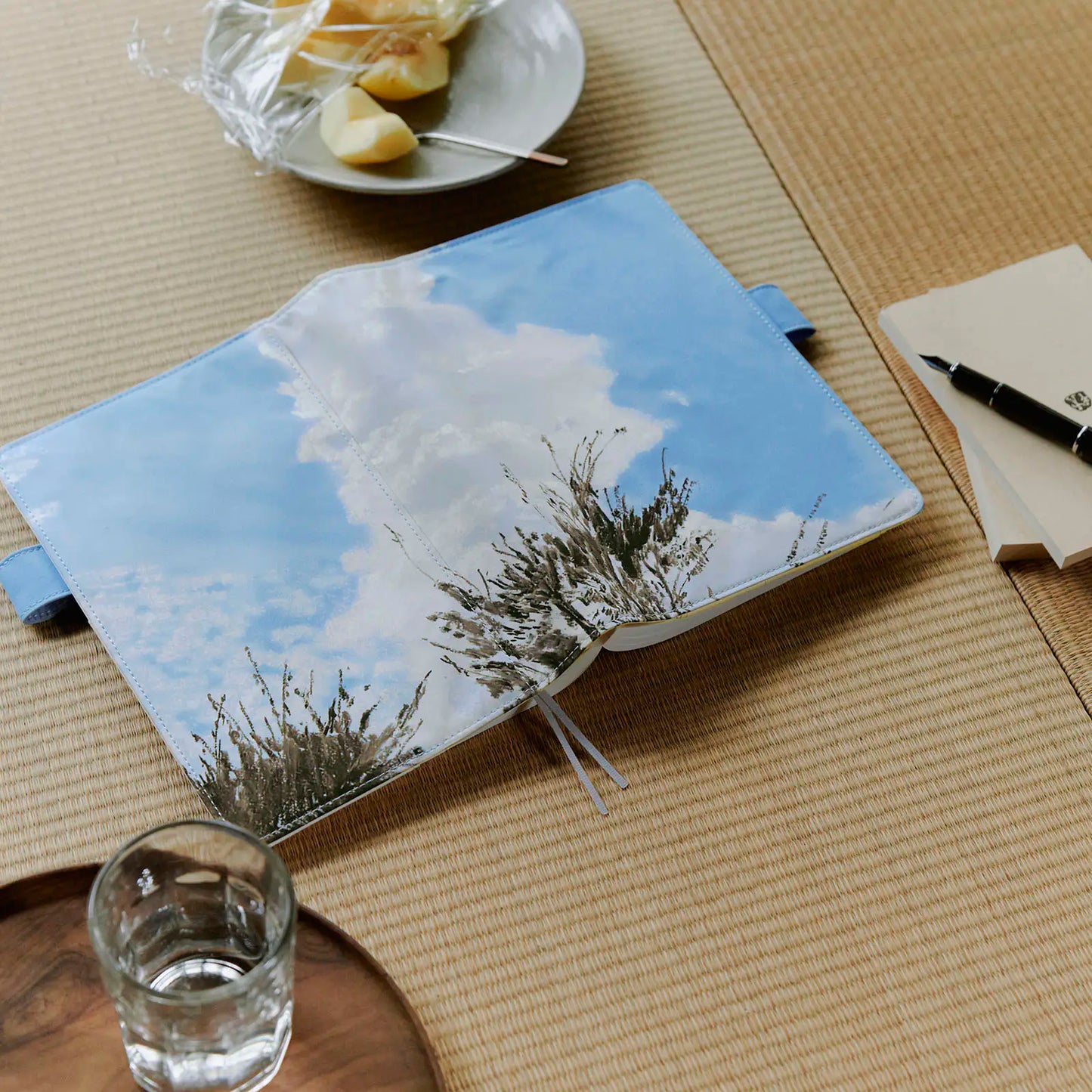 Kyohei Sakaguchi: Field Sky [Hobonichi Cousin (A5) Techo Cover] (Cover Only)