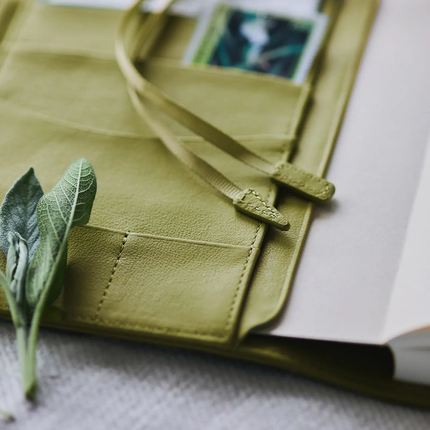 Leather: Sage Green [Hobonichi Cousin (A5) Techo Cover] (Cover Only)