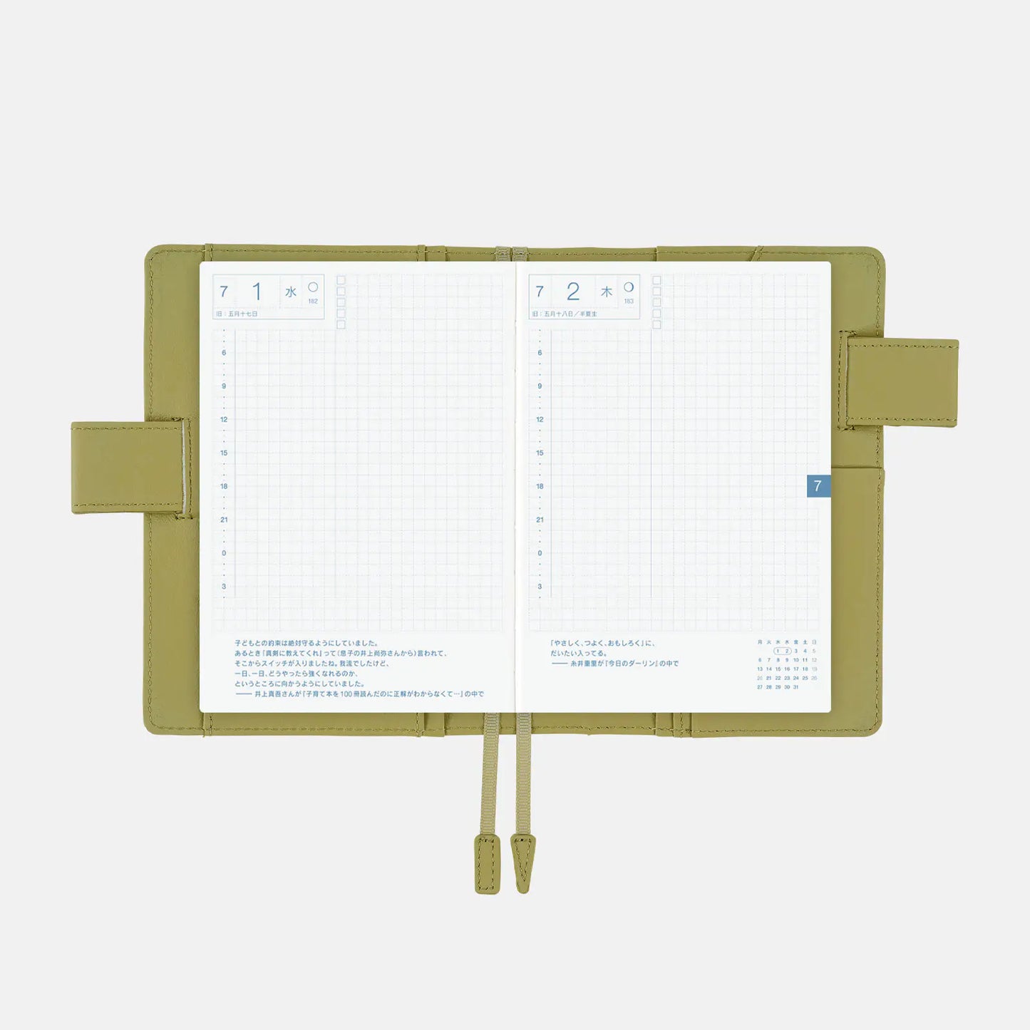 Leather: Sage Green [Hobonichi Original (A6) Techo Cover] (Cover Only)