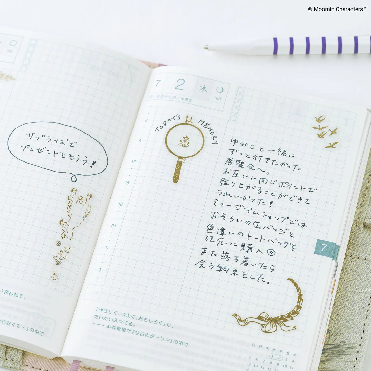 Moomin: Foil-Stamped Clear Stickers (Adventure Log), 2027 Hobonichi Accessories