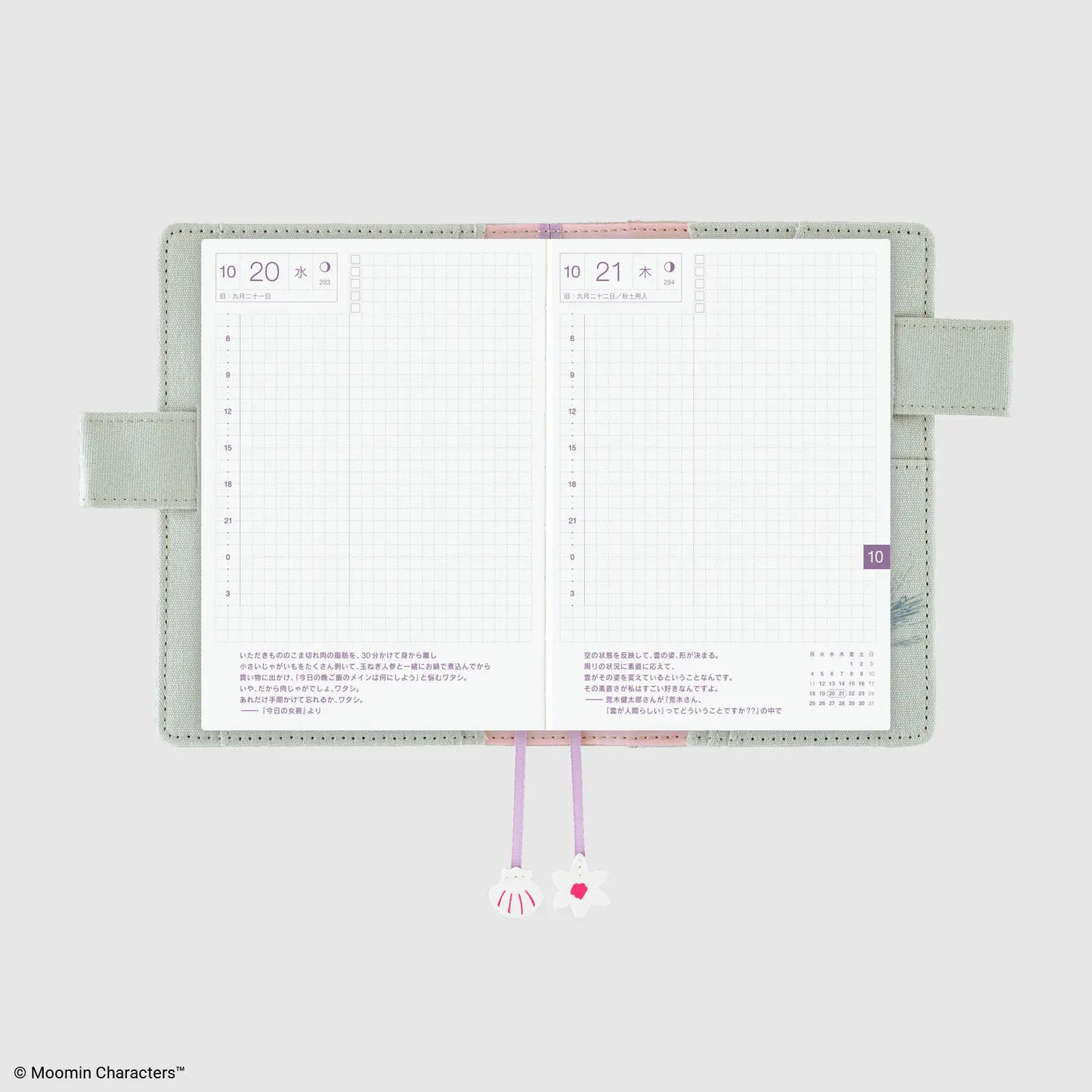 Moomin: My Yard (Pale Mint) [Hobonichi Original (A6) Techo Cover] (Cover Only)