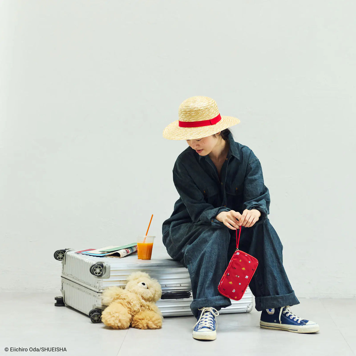 ワンピース draw drawrs Cotton Mini One Piece ONE PIECE magazine: DON! Small Drawer Pouch, Hobonichi Small