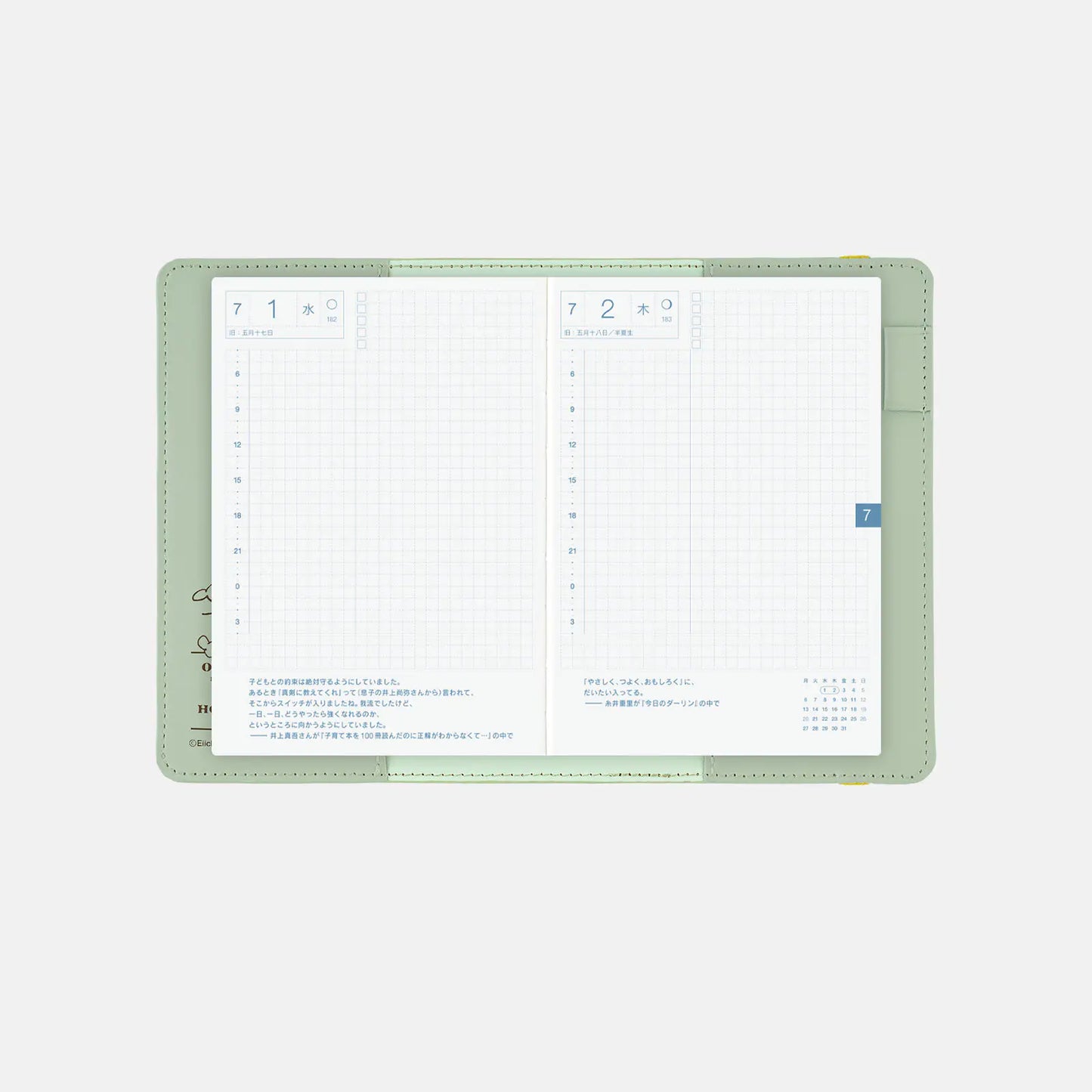 ONE PIECE magazine: End of Luffy’s Dream (Mint Green) [Hobonichi Original (A6) Techo Cover] (Cover Only)