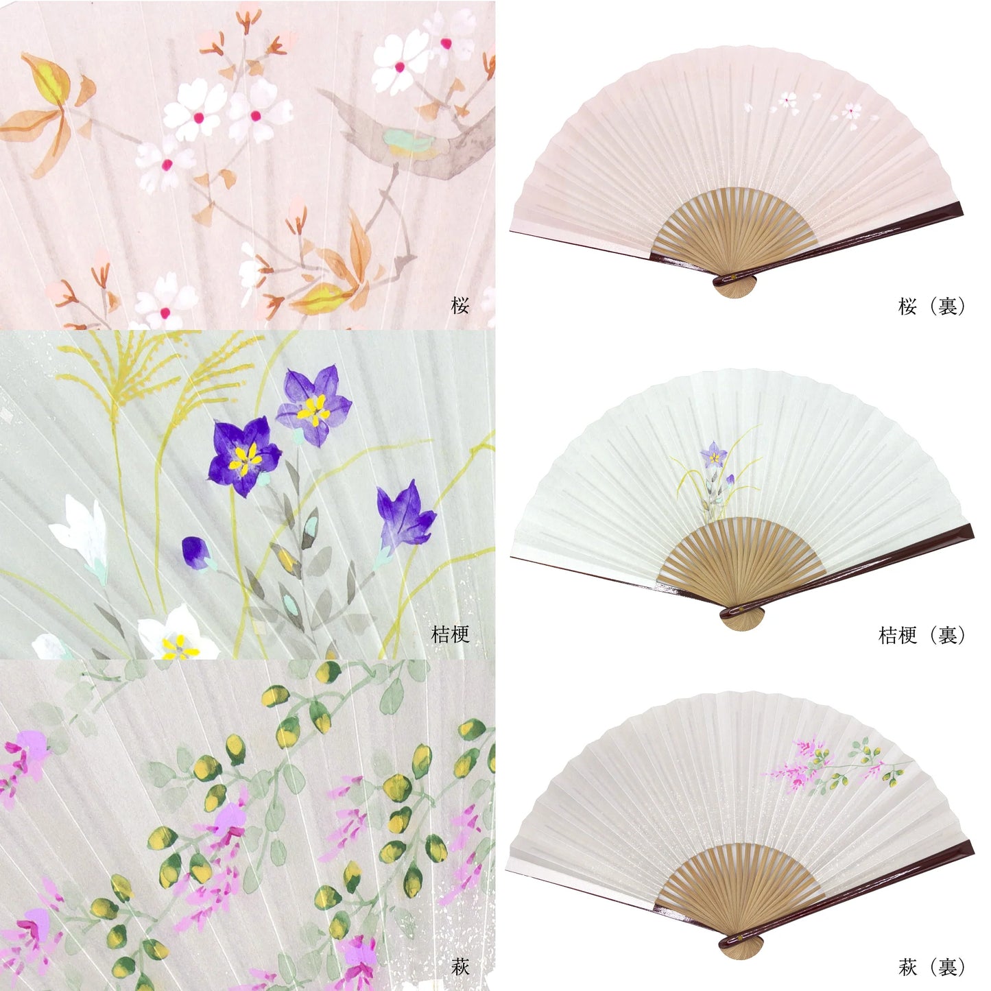 Kyo-sensu (Japanese folding fan) for Women - Balloon Flower - , Made in Kyoto, Japan, Kyoto sensu