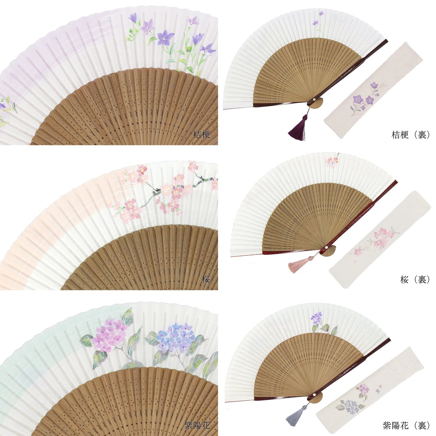Kyo-sensu (Japanese folding fan) for Women - Balloon Flower - , Made in Kyoto, Japan, Kyoto sensu