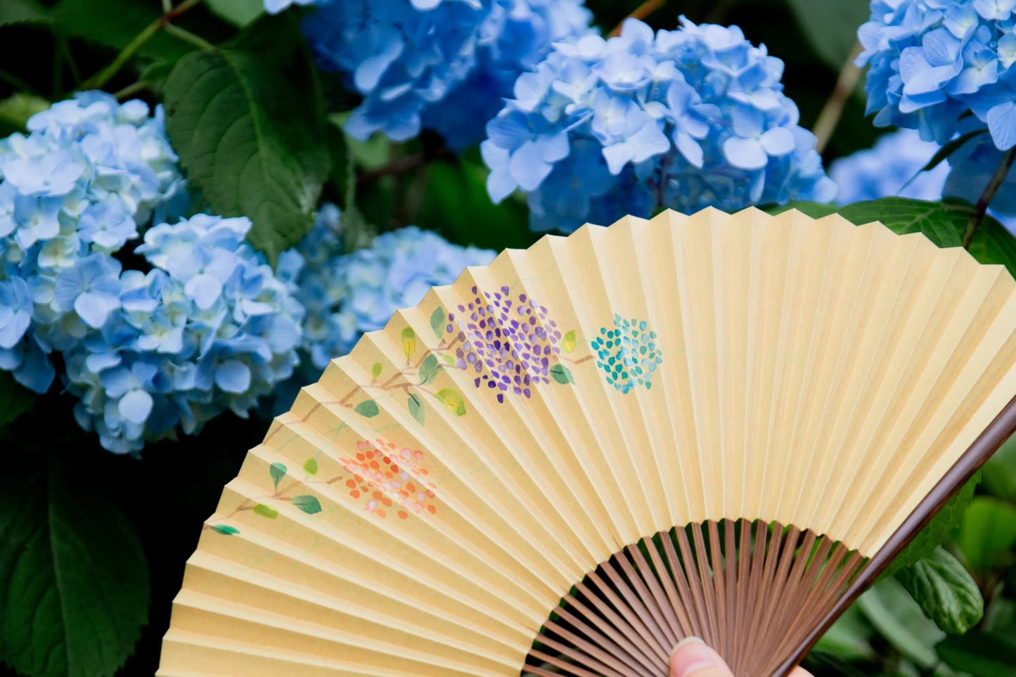 Kyo-sensu (Japanese folding fan) for Women - Camellia - , Made in Kyoto, Japan, Kyoto sensu