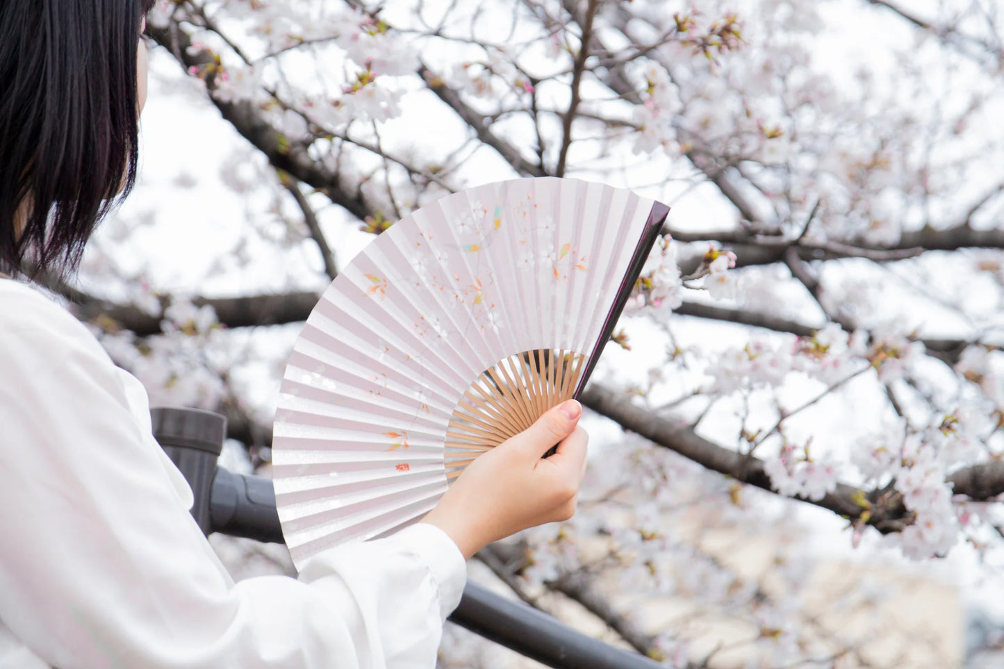 Kyo-sensu (Japanese folding fan) for Women - Balloon Flower - , Made in Kyoto, Japan, Kyoto sensu