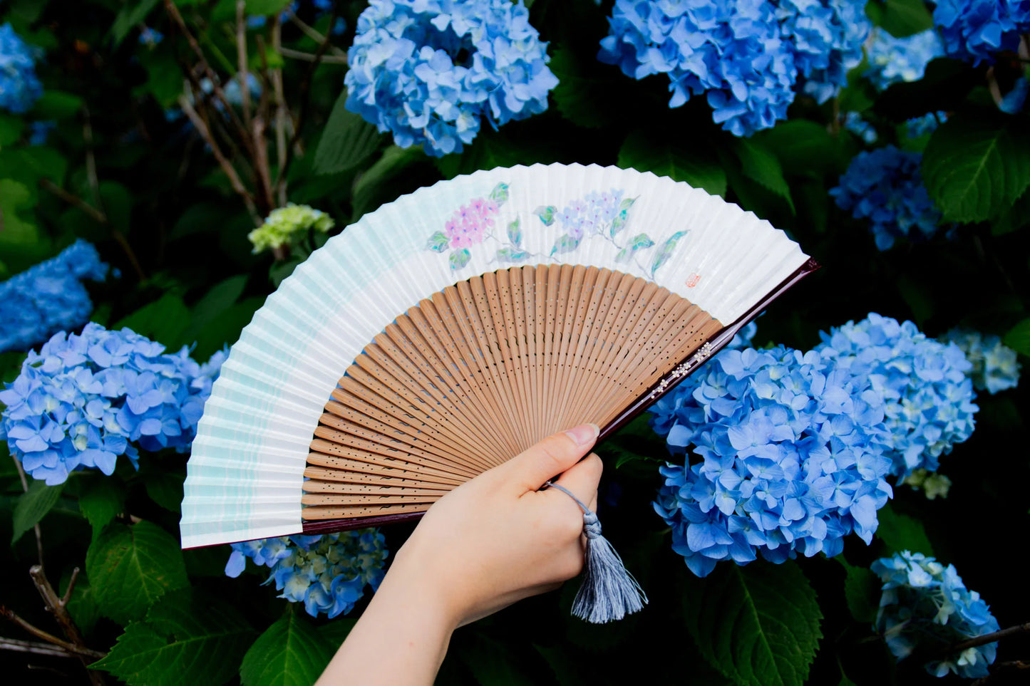 Kyo-sensu (Japanese folding fan) for Women - Balloon Flower - , Made in Kyoto, Japan, Kyoto sensu