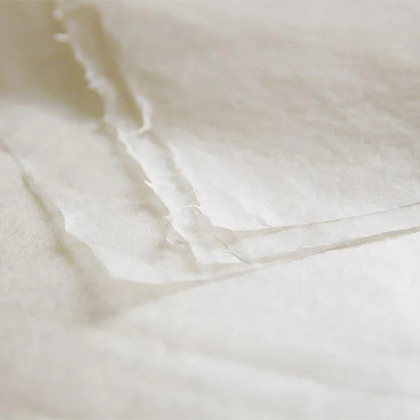 Small Gifu Lantern - Sweetfish - , Japanese Chochin, traditional japanese paper lantern